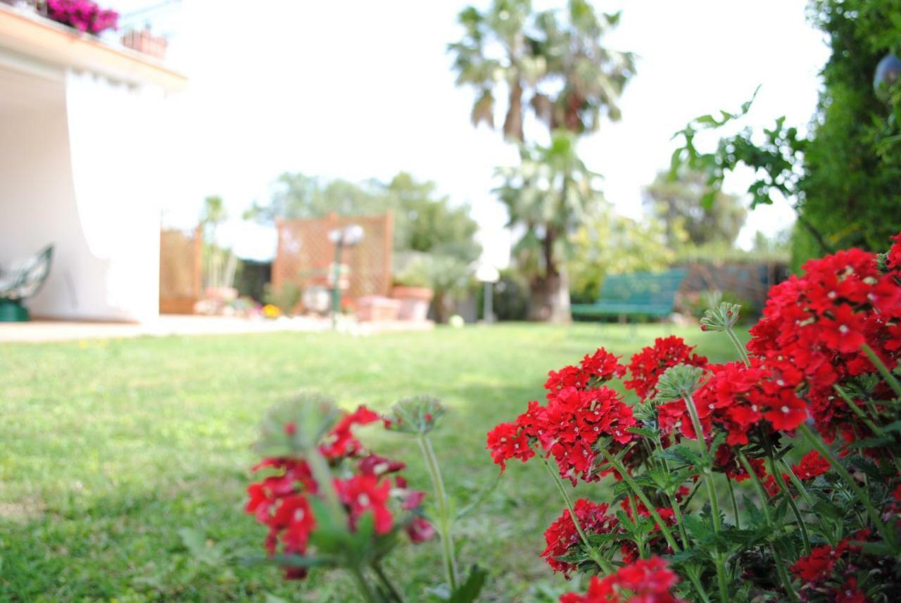 Villa Regina B&B Nettuno Buitenkant foto